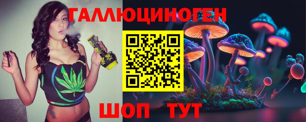 Псилоцибиновые грибы Cubensis Черногорск